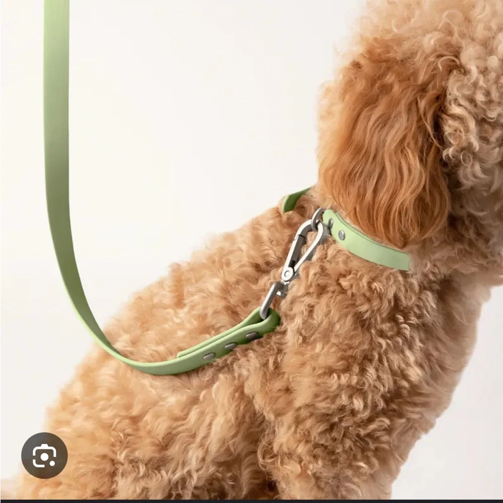 Diggs light green Waterproof Dog Collar - Medium